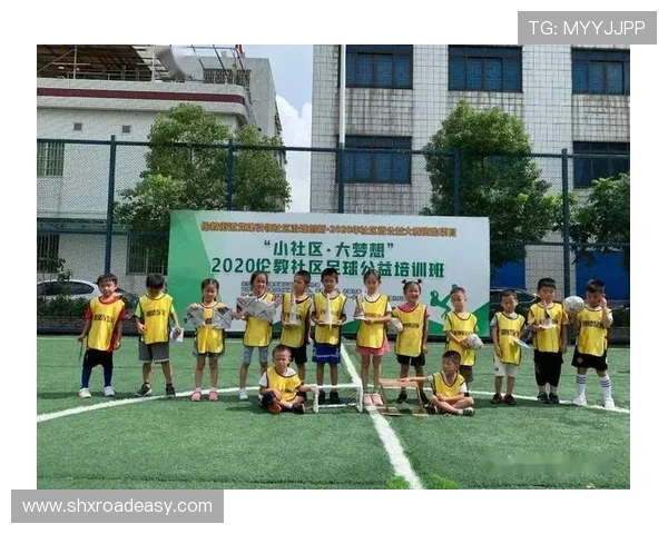 云南足球之旅揭秘哪些国际足球明星曾踏足这片美丽土地